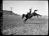 Mel Autrey on Goose Neck