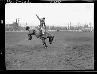 Joe Chase on Strawberry Roan