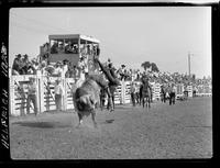 Bill Jesperson off Stubby