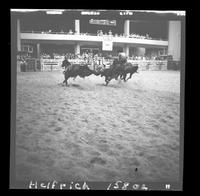 Danny Daniels  Steer Wrestle