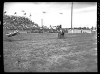 Rudy Doucette Calf Roping
