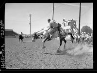 Bill Sterling on Jack-O-Diamond  "Fresno State"