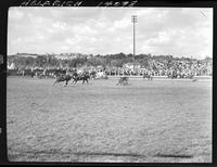 Gene Miles Steer Wrestling (Winning Finals)