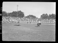 Sonny Davis Steer Rope