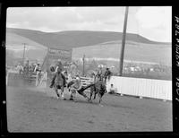 Gene Hassler Steer Wrestling