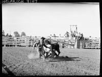 Slim Pickens Bull Fighting