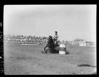 Donna Faye Hinson  (Barrel Race)