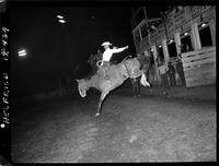 Harry Noble on Baldy Buck