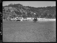 Bill Boag Calf Roping