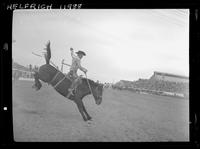 Ike Lambertson on Brown Jug