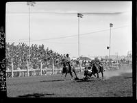 Lee Roberts Steer Wrestling