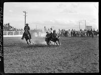 Phil Hatcher Steer Wrestling