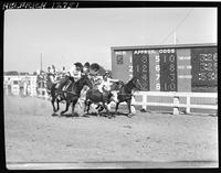 Wayne Garrett Steer Wrestling