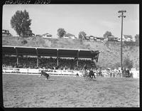 Art Fulkerson Calf Roping