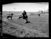 Mervin Wilde - Stan Johnson Team Rope