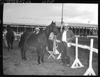 Q.H. Fillies '56 Patty's Pet - Howard Pitzer, Erickson, Neb