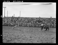 Duane Reece Calf Roping