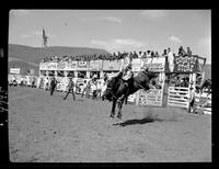 Bill Linderman on Caribou