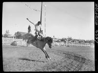 Mike Morgan on Buckskin Joe