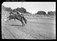 Bert France on Comanche