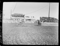 Joe Glenn Calf Roping