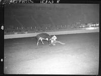 Steer Wrestling and Chute Gate pics  (8 negs)