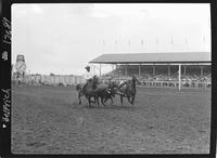 Billy Hale Steer Wrestling