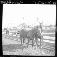 Tom Nesmith  (Pose) sittingon horse