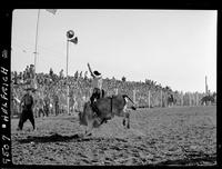 Ken Harbegger on Gentleman Jim