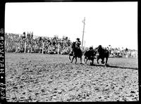 Rudy Doucette Steer Wrestling