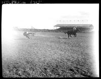 Glenn Wadsworth Steer Rope