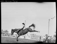 Buck Rutherford on Bay Meggs