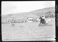 Joey Bergevin Calf Roping