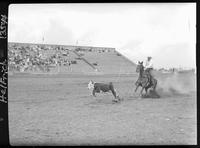 Rick Vandenberg Calf Roping