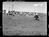 Dick Hemstaed Calf Roping