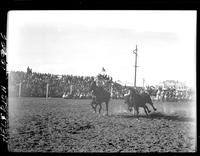 Sherman Sullins Steer Wrestling