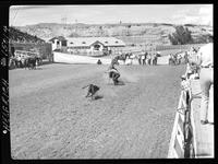 Dean Oliver Calf Roping