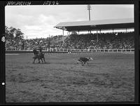 Sonny Davis Calf Roping