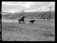 Eddie Schell Calf Roping