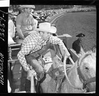 Harley May boarding a saddle bronc