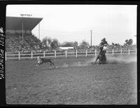 Sherman Sullins Calf Roping