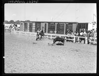 Glen Franklin Calf Roping