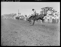 Casey Tibbs on Miss Red Bluff