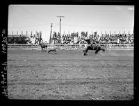 Herman Vowell Calf Roping