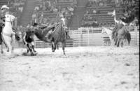 Eugene Smith Steer wrestling