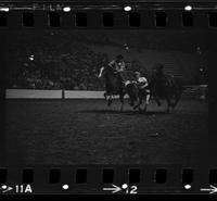 Don Douglas Steer wrestling