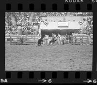 Willard Moody Calf roping