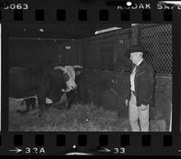 Buster & June Ivory & Cervi's #17 "General Isomo" Bull of the year     Wild Bunch Reunion