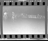 Rick Ashley Steer wrestling