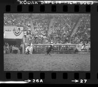 Terry Davidson Calf roping